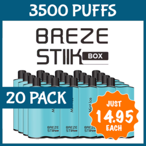 20 PACK MINT ICE – BREZE STIIK BOX – 3500 PUFFS