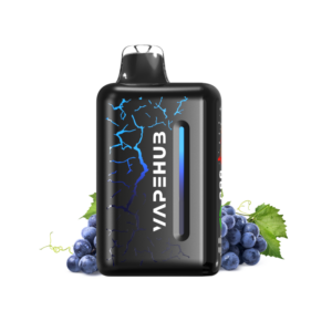 BLUEBERRY BLAST STORM – VAPEHUB ULTRA 20000